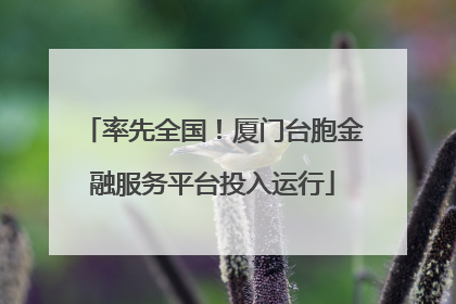 率先全国！厦门台胞金融服务平台投入运行