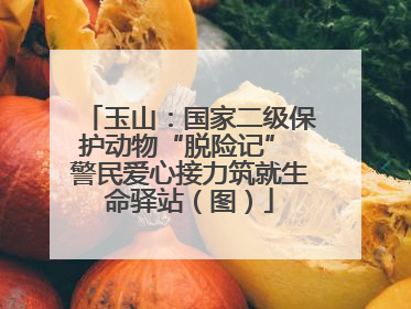 玉山：国家二级保护动物“脱险记” 警民爱心接力筑就生命驿站（图）