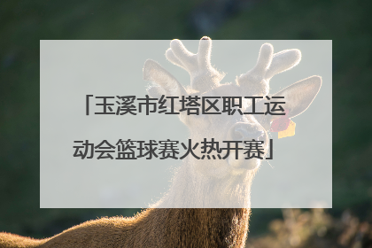 玉溪市红塔区职工运动会篮球赛火热开赛