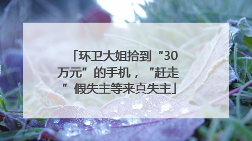 环卫大姐拾到“30万元”的手机，“赶走”假失主等来真失主