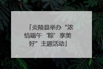 炎陵县举办“浓情端午‘粽’享美好”主题活动