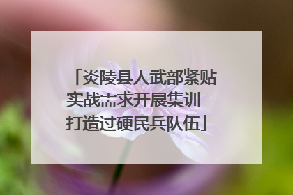 炎陵县人武部紧贴实战需求开展集训 打造过硬民兵队伍