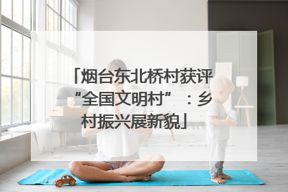 烟台东北桥村获评“全国文明村”：乡村振兴展新貌
