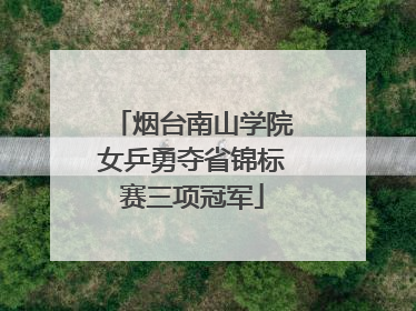烟台南山学院女乒勇夺省锦标赛三项冠军