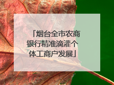 烟台全市农商银行精准滴灌个体工商户发展