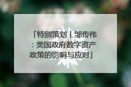 特别策划丨邹传伟：美国政府数字资产政策的影响与应对
