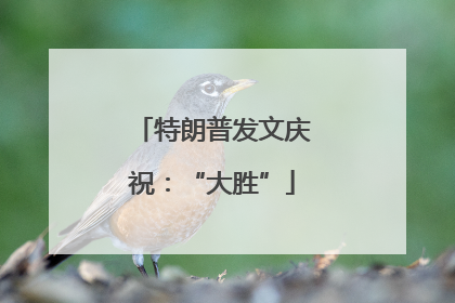 特朗普发文庆祝：“大胜”
