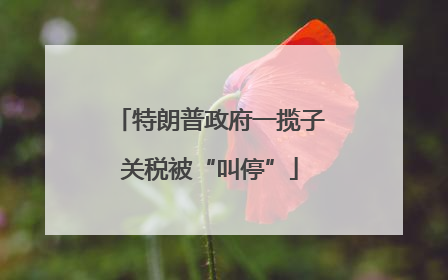 特朗普政府一揽子关税被“叫停”