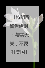 特朗普警告伊朗：与美无关，不要打美国