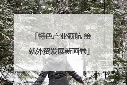 特色产业领航 绘就外贸发展新画卷