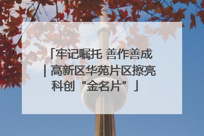 牢记嘱托 善作善成｜高新区华苑片区擦亮科创“金名片”