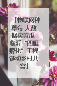 物联网种草莓 大数据卖黄瓜 临沂“四雁孵化”工程链动乡村共富