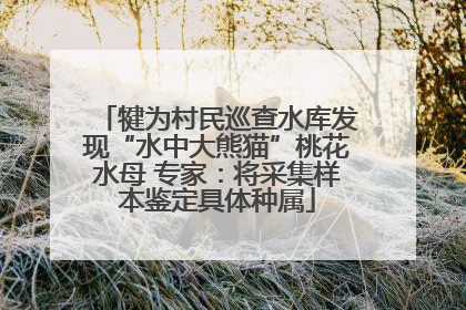 犍为村民巡查水库发现“水中大熊猫”桃花水母 专家：将采集样本鉴定具体种属