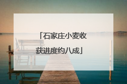 石家庄小麦收获进度约八成