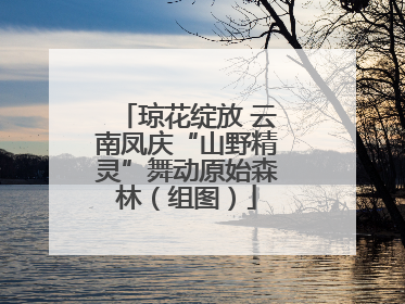 琼花绽放 云南凤庆“山野精灵”舞动原始森林（组图）