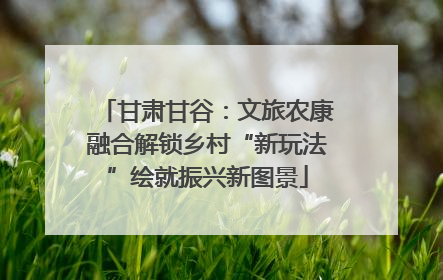 甘肃甘谷：文旅农康融合解锁乡村“新玩法”绘就振兴新图景