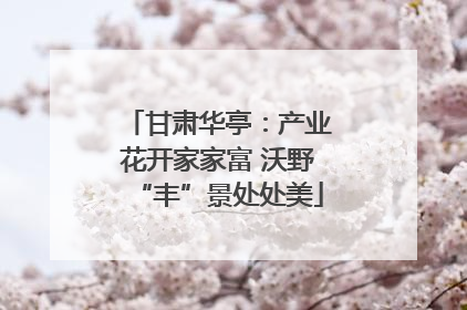 甘肃华亭：产业花开家家富 沃野“丰”景处处美