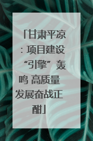 甘肃平凉：项目建设“引擎”轰鸣 高质量发展奋战正酣