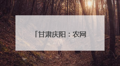 甘肃庆阳：农网改造解民忧 配变投运促振兴