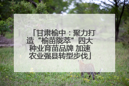 甘肃榆中：聚力打造“榆苗陇萃”四大种业育苗品牌 加速农业强县转型步伐