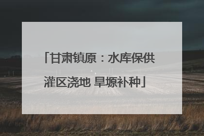 甘肃镇原：水库保供 灌区浇地 旱塬补种