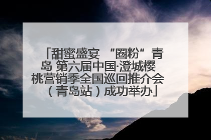 甜蜜盛宴 “圈粉”青岛 第六届中国·澄城樱桃营销季全国巡回推介会（青岛站）成功举办