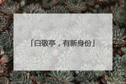 白敬亭，有新身份