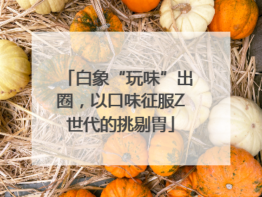 白象“玩味”出圈，以口味征服Z世代的挑剔胃