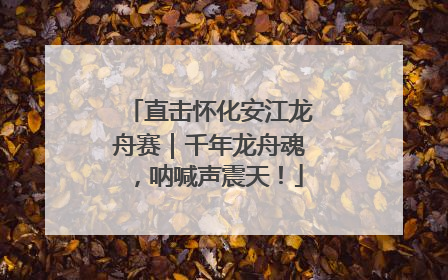 直击怀化安江龙舟赛｜千年龙舟魂，呐喊声震天！