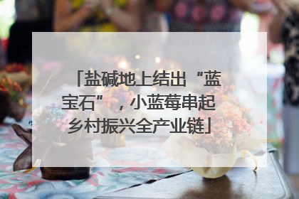 盐碱地上结出“蓝宝石”，小蓝莓串起乡村振兴全产业链