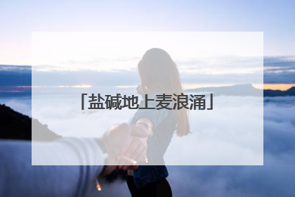 盐碱地上麦浪涌