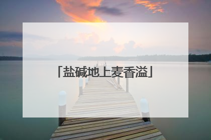 盐碱地上麦香溢