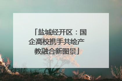 盐城经开区：国企高校携手共绘产教融合新图景