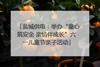 盐城供电：举办“童心筑安全 亲情伴成长”六一儿童节亲子活动