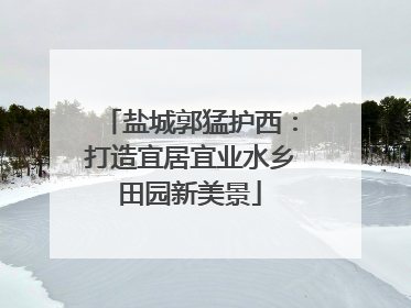 盐城郭猛护西：打造宜居宜业水乡田园新美景