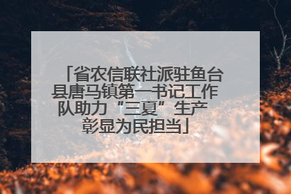 省农信联社派驻鱼台县唐马镇第一书记工作队助力“三夏”生产 彰显为民担当
