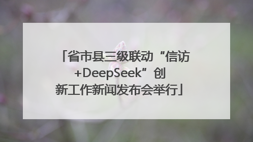 省市县三级联动“信访+DeepSeek”创新工作新闻发布会举行