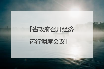 省政府召开经济运行调度会议