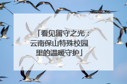 看见留守之光：云南保山特殊校园里的温暖守护