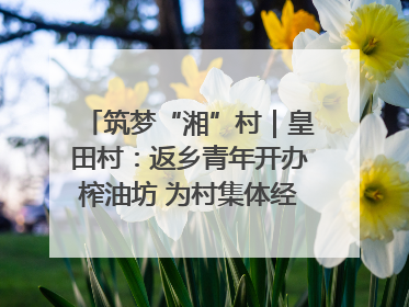 筑梦“湘”村｜皇田村：返乡青年开办榨油坊 为村集体经济“加油”