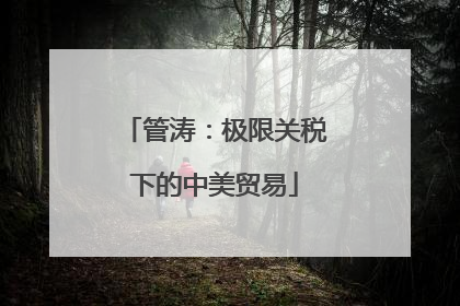 管涛：极限关税下的中美贸易