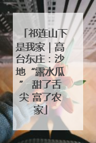 祁连山下是我家｜高台东庄：沙地“露水瓜” 甜了舌尖 富了农家
