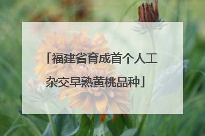 福建省育成首个人工杂交早熟黄桃品种