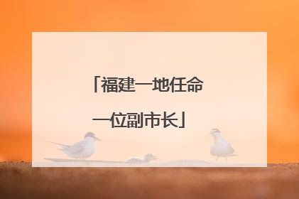 福建一地任命一位副市长