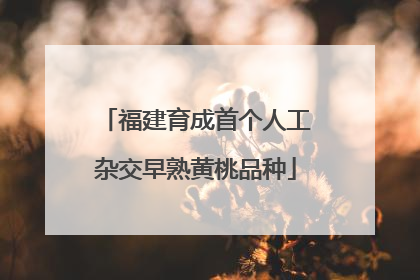 福建育成首个人工杂交早熟黄桃品种
