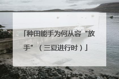 种田能手为何从容“放手”（三夏进行时）