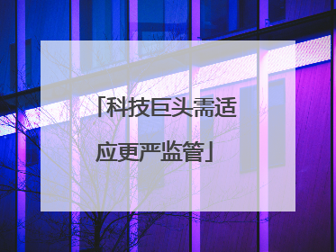科技巨头需适应更严监管