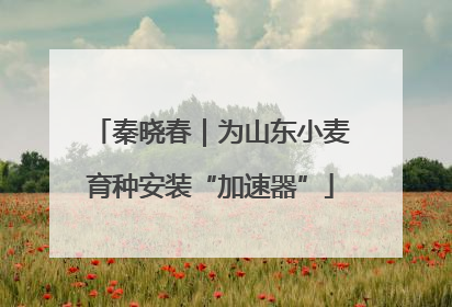秦晓春｜为山东小麦育种安装“加速器”