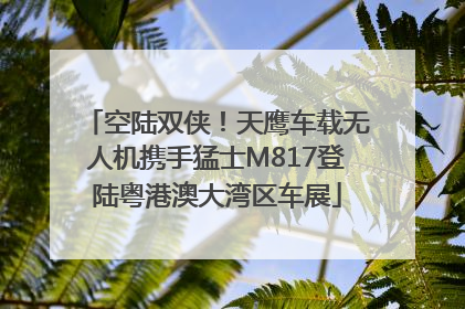空陆双侠！天鹰车载无人机携手猛士M817登陆粤港澳大湾区车展