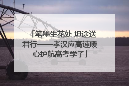 笔墨生花处 坦途送君行——孝汉应高速暖心护航高考学子